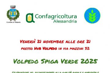 Volpedo Spiga Verde 2025
